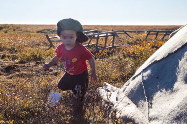 The extreme north, Yamal, the past of Nenets people, the dwelling of the peoples of the north, a girl playing near the yurts in the tundra clipart