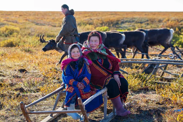 Extremo Norte Yamal Passado Povo Nenets Habitação Dos Povos Norte — Fotografia de Stock