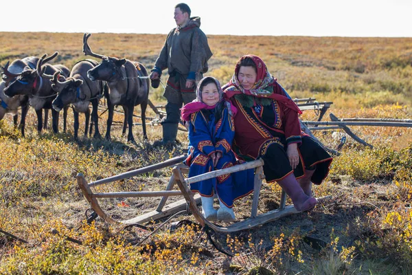 Legészakibb Yamal Nenetek Múltja Északi Népek Lakhelye Egy Családi Fotó — Stock Fotó