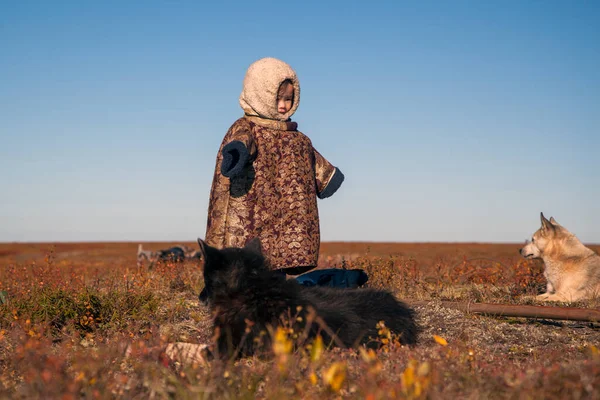 Extremo Norte Yamal Passado Povo Nenets Habitação Dos Povos Norte — Fotografia de Stock