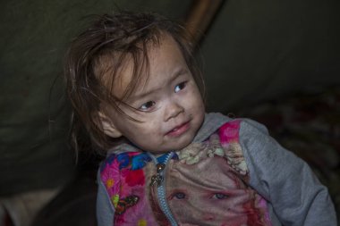 Tundra, aşırı kuzey, Yamal, Nenet halkının otlakları, kuzeydeki insanların evleri, yurt, sanatsal tonlama, yurttaki büyük aile, sanat gürültüsü.