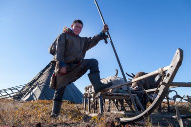 En kuzeyde, Tundra 'da ren geyiği ren geyiği, ren geyiği sürüsü, genç erkek ren geyiği çobanı.