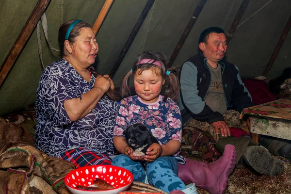 Tundra Der Äußerste Norden Jamal Die Weide Der Nenzen Die — Stockfoto