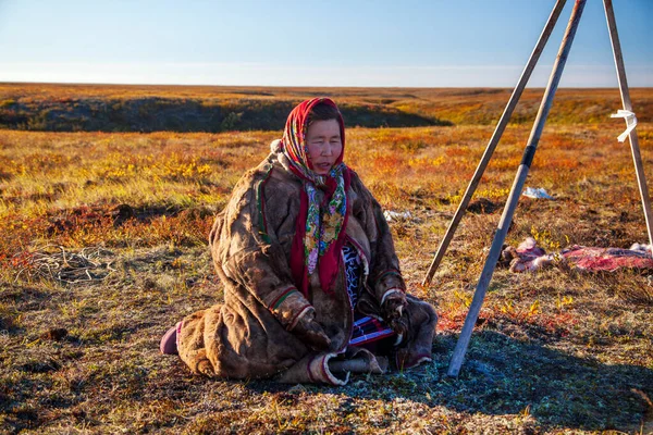 Extremo Norte Yamal Vida Gente Nenets Asistente Del Pastor Renos — Foto de Stock