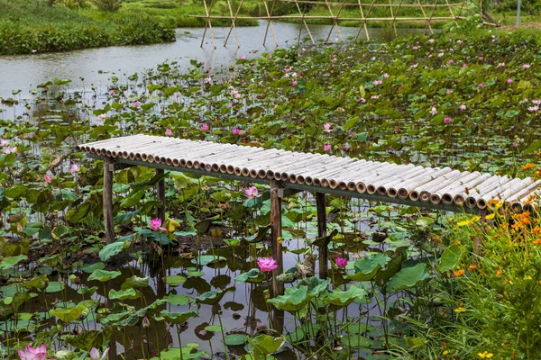 Ninh Binh Vietnam Hermoso Paisaje Arrozales Entre Las Montañas Vista — Foto de Stock