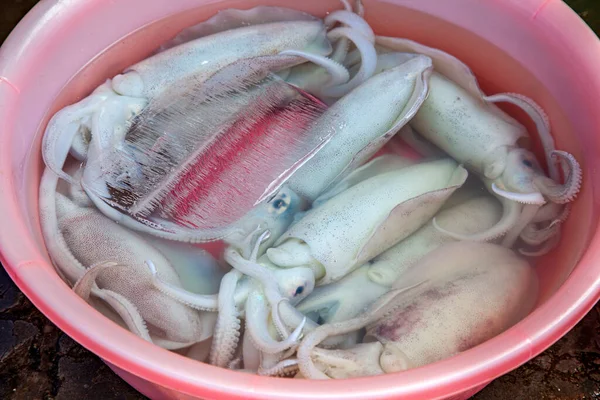Mariscos Tradicionales Calle Vietnam Calamar Para Cocinar Una Barbacoa — Foto de Stock