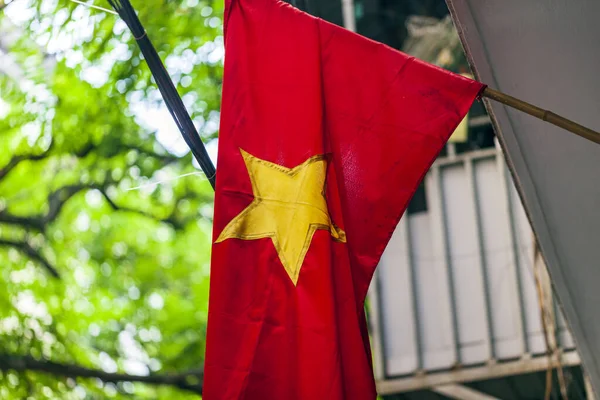 Vietnamese Flag Vietnamese Flag Metal Flagpole Forest Holiday Vietnam — Stock Photo, Image