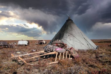 En kuzeyde, Tundra 'da ren geyikleri, ren geyikleriyle geyik koşumu, 