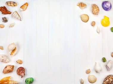 Yaz tatili kavramı. Beyaz ahşap zemin üzerinde ip olan deniz kabukları, boşluğu kopyala.