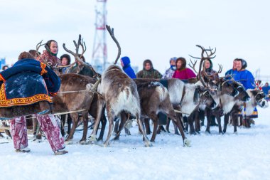 Far North, Yamal Yarımadası ren geyiği çobanı günü, Nenets 'in ulusal kıyafetleri içinde yerel halk. Nadym, Rusya - 23 Şubat 2020