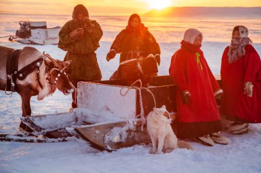Far North, Yamal Yarımadası ren geyiği çobanı günü, Nenets 'in ulusal kıyafetleri içinde yerel halk. Nadym, Rusya - 23 Şubat 2020