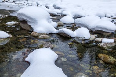 Bahar, bir dağ nehrinin kıyısında kar, orman ve dağlar, eriyen karlar..