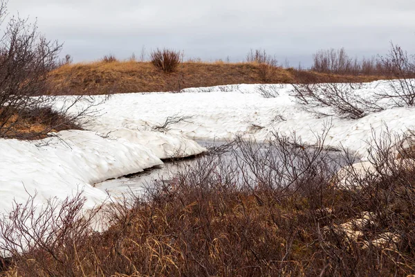 Spring Landscape Forest Tundra River Bank Bird Eye View Arctic — Stock Photo, Image