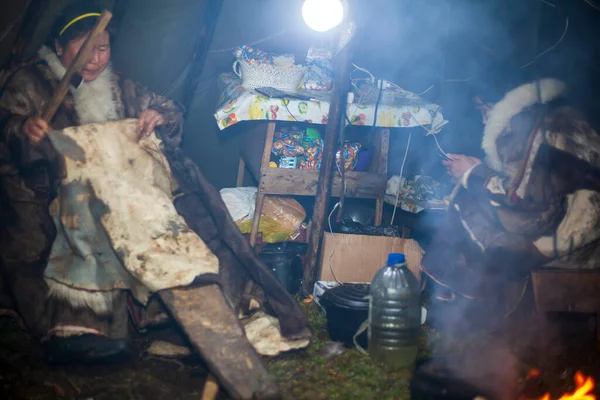 Toundra Extrême Nord Yamal Pâturage Des Nenets Habitation Des Peuples — Photo