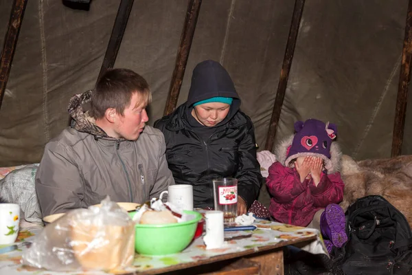 Тундра Крайний Север Ямал Пастбище Ненецкого Народа Жилище Народов Севера — стоковое фото