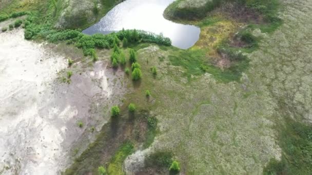 Krajobraz Lasu Tundry Jesienią Piaszczystego Brzegu Rzeki Widok Lotu Ptaka — Wideo stockowe