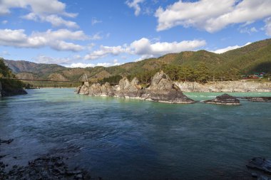 Altai Dağları, Katun Nehri, Turkuaz Nehri manzarası Katun ve Altai Dağları, Sonbahar sezonu. Kaya sırtı 