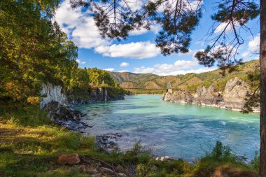 Altai Dağları, Katun Nehri, Turkuaz Nehri manzarası Katun ve Altai Dağları, Sonbahar sezonu. Kaya sırtı 