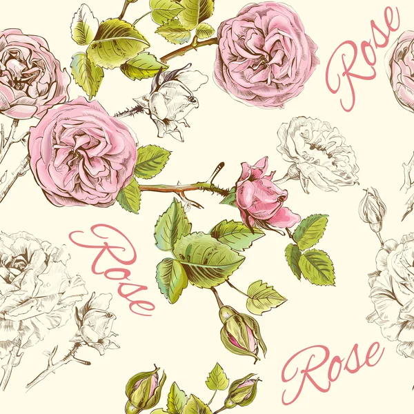 玫瑰花纹 — 图库矢量图片