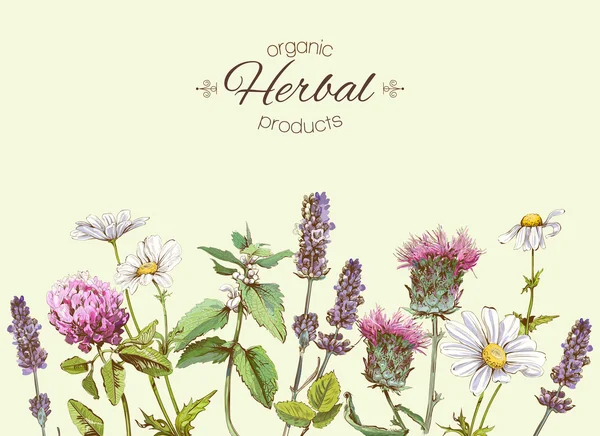 Medichinal otlar afiş