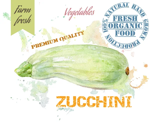 Bannière aquarelle courgette — Image vectorielle