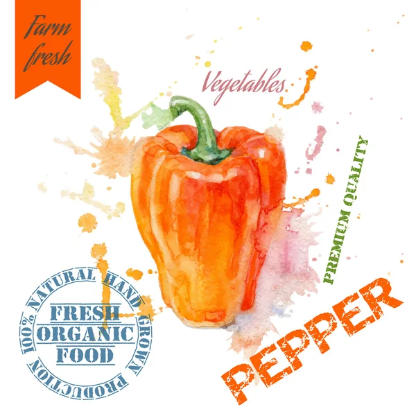 Peper aquarel banner — Stockvector