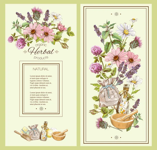 Herbal vintage banner — Stock Vector