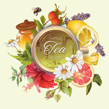 Vector vintage herbal banner clipart