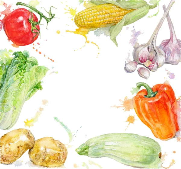 Légumes peint à la main cadre aquarelle avec éclaboussures sur fond blanc . — Photo