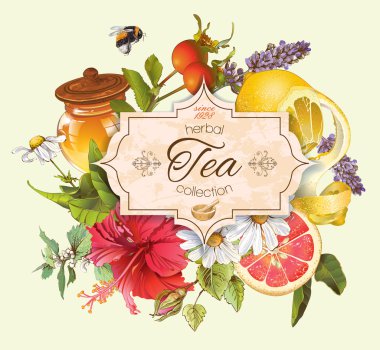 Vector vintage herbal tea banner clipart