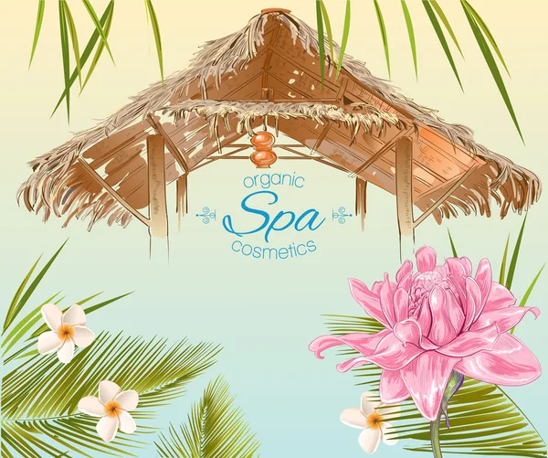 Banner de spa de estilo tropical — Vector de stock