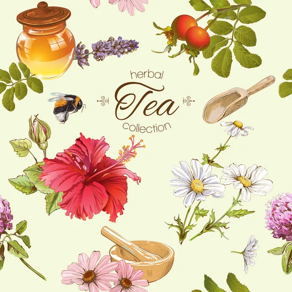 Gyógynövény tea seamles minta — Stock Vector