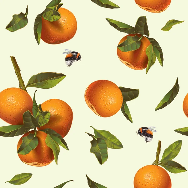 Orange mandarin pattern — Stock Vector