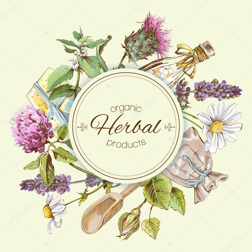 Vector vintage banner with wild flowers and medicinal herbs. Design for cosmetics, store, beauty salon, natural and organic, health care products.Can be used like a logo design