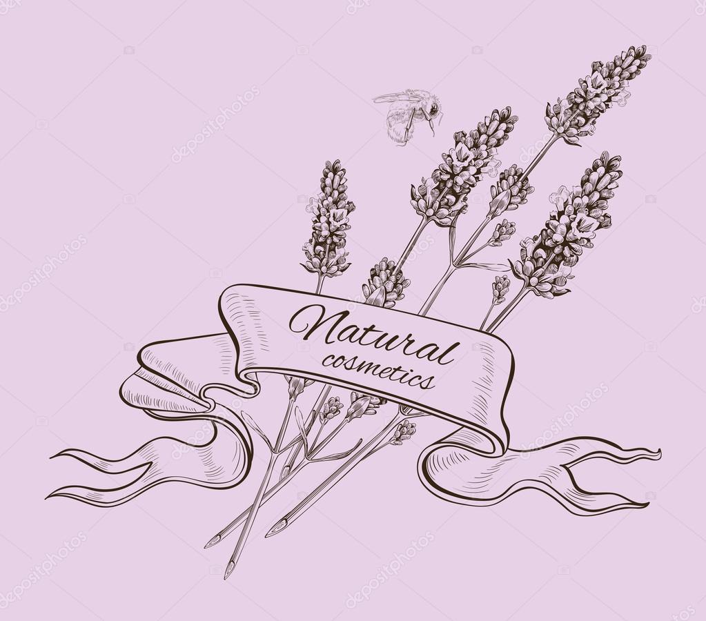 Lavender graphic natural cosmetics ribbon banner. Design for cosmetics, perfume, store, beauty salon, natural and organic health care products. Can be used as greeting card. Vector illustration
