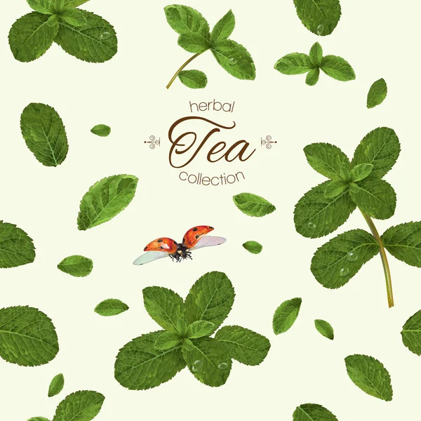 Mint herbata wzór — Zdjęcie stockowe