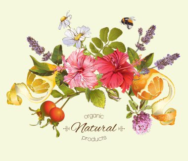 Vektör vintage kompozisyon