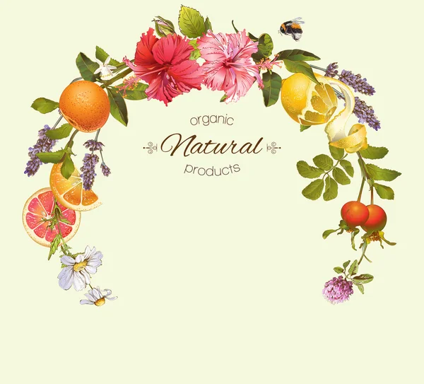 vintage vektör çerçeve