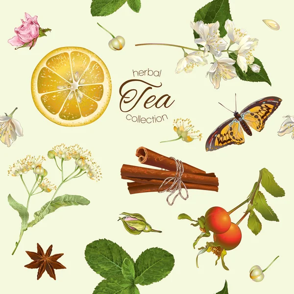 Травяной чай бесшовный узор — стоковый вектор
