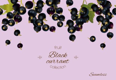 Siyah frenk üzümü afiş.