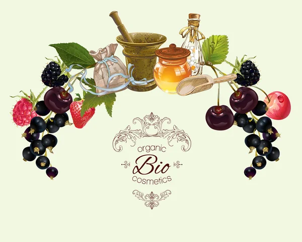 Banner de frutas e bagas — Vetor de Stock