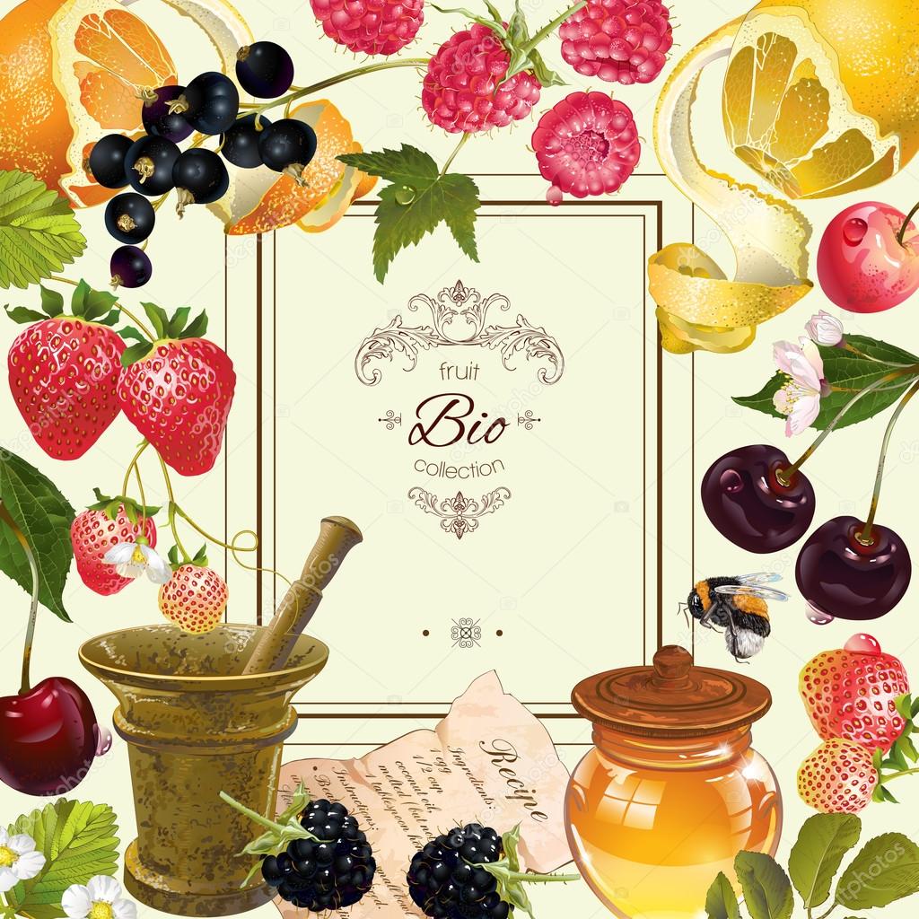 Vector vintage fruit and berry frame. Design for vegeterian menu, tea, ice cream, juice, jam, natural cosmetics, candy and bakery with fruit filling, health care products. With place or text