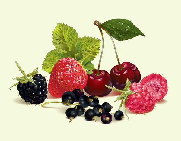 浆果的混合成分 — 图库矢量图片