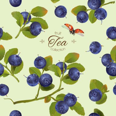 Yaban mersini desen tam