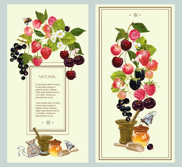 Berry dikey afiş — Stok Vektör