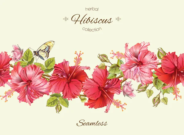 Vector hibiscus border — Stock Vector