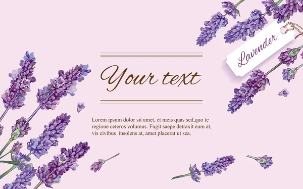 Lavendel natuurlijke cosmetica banner — Stockvector
