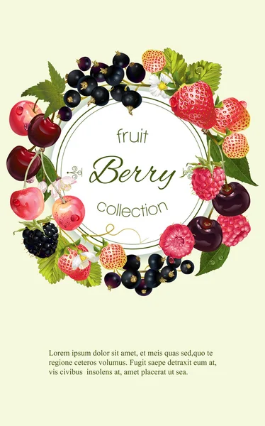 Berry verticale banner — Stockvector