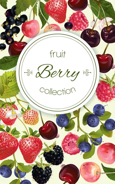 Bannière verticale Berry — Image vectorielle