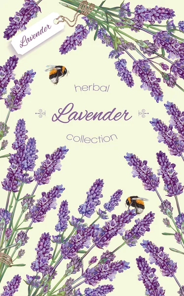 Banner de cosméticos naturais de lavanda —  Vetores de Stock